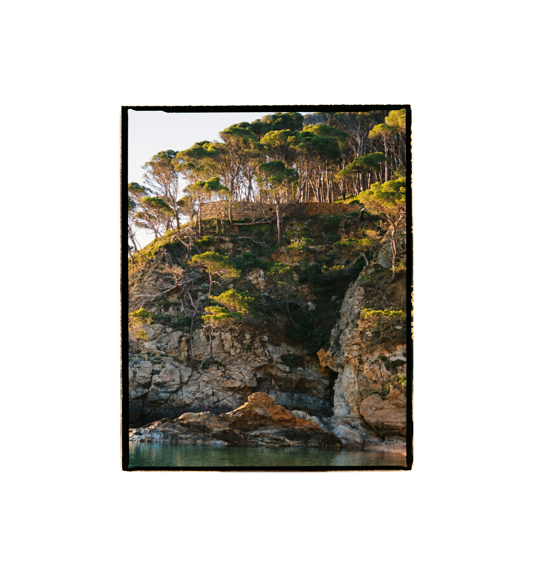 image-banner