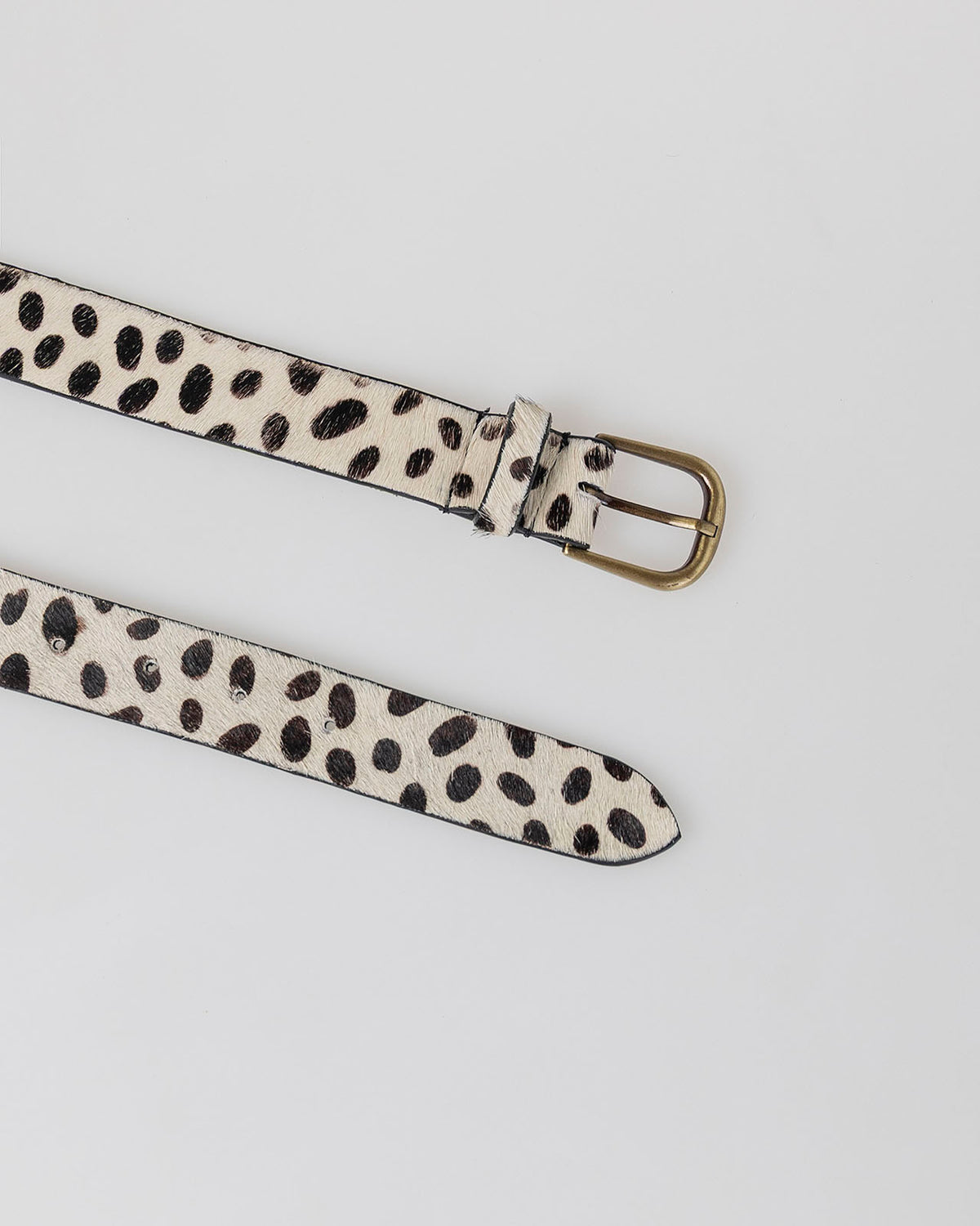 Cinturón animal print